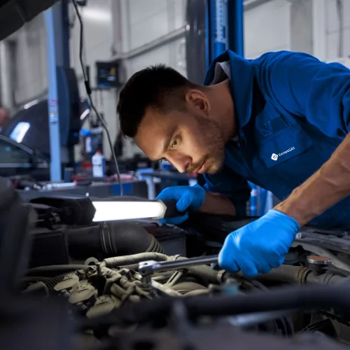 Untitled 500 x 500 px 7 Untitled 500 x 500 px 7