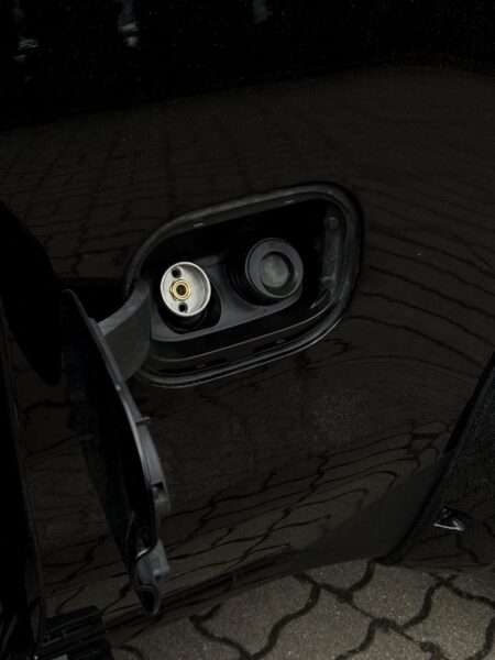 IMG 1787 IMG 1787